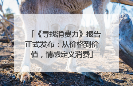《寻找消费力》报告正式发布：从价格到价值，情感定义消费