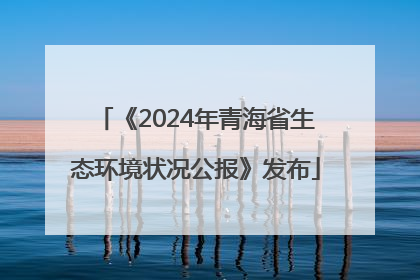 《2024年青海省生态环境状况公报》发布