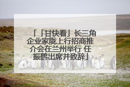 「甘快看」长三角企业家陇上行招商推介会在兰州举行 任振鹤出席并致辞