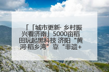 「城市更新· 乡村振兴看济南」5000亩稻田玩起黑科技 济阳“黄河·稻乡湾”靠“非遗+露营”火出圈