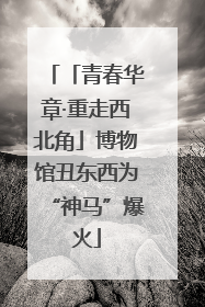「青春华章·重走西北角」博物馆丑东西为“神马”爆火