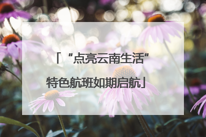 “点亮云南生活”特色航班如期启航
