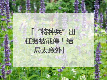 “特种兵”出任务被截停！结局太意外