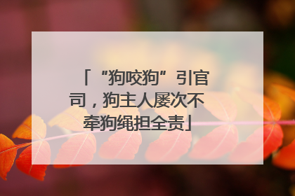 “狗咬狗”引官司，狗主人屡次不牵狗绳担全责