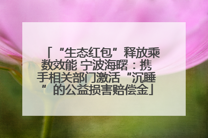 “生态红包”释放乘数效能 宁波海曙：携手相关部门激活“沉睡”的公益损害赔偿金