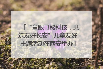 “童眼寻秘科技，共筑友好长安”儿童友好主题活动在西安举办