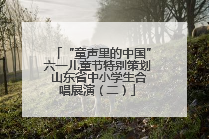 “童声里的中国”六一儿童节特别策划 山东省中小学生合唱展演（二）