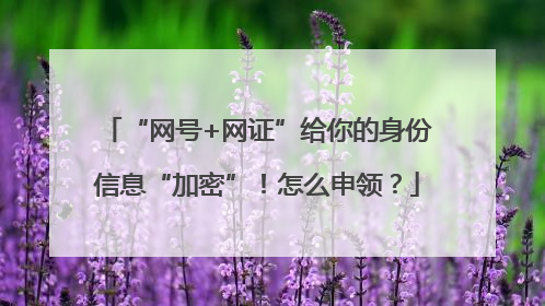 “网号+网证”给你的身份信息“加密”！怎么申领？