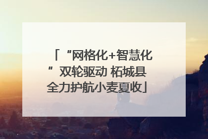 “网格化+智慧化”双轮驱动 柘城县全力护航小麦夏收