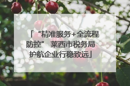 “精准服务+全流程防控” 莱西市税务局护航企业行稳致远