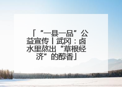 “一县一品”公益宣传丨武冈：卤水里熬出“草根经济”的醇香