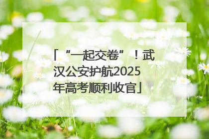 “一起交卷”！武汉公安护航2025年高考顺利收官
