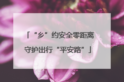 “乡”约安全零距离 守护出行“平安路”
