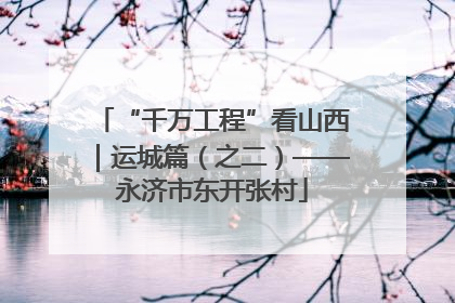“千万工程”看山西｜运城篇（之二）——永济市东开张村