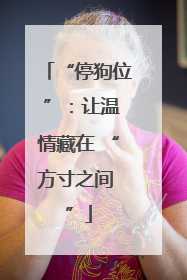“停狗位 ”：让温情藏在 “方寸之间 ”