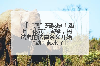 “典”亮陇原！遇上“花式”演绎，民法典的法律条文开始“动”起来了