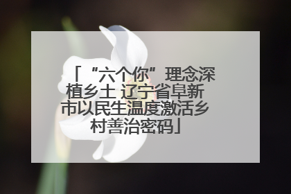 “六个你”理念深植乡土 辽宁省阜新市以民生温度激活乡村善治密码
