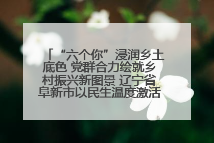 “六个你”浸润乡土底色 党群合力绘就乡村振兴新图景 辽宁省阜新市以民生温度激活乡村善治密码