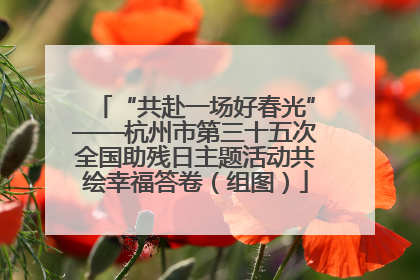 “共赴一场好春光”——杭州市第三十五次全国助残日主题活动共绘幸福答卷（组图）