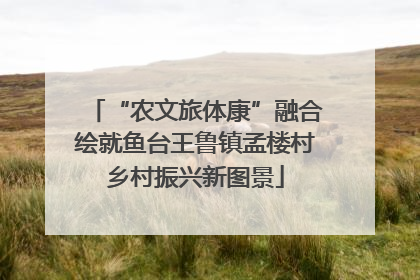“农文旅体康”融合绘就鱼台王鲁镇孟楼村乡村振兴新图景