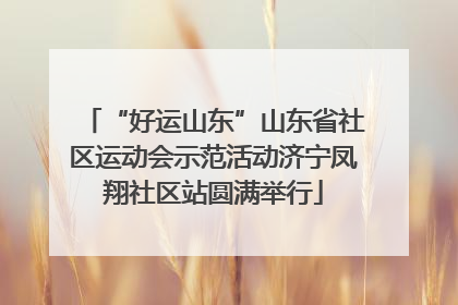 “好运山东”山东省社区运动会示范活动济宁凤翔社区站圆满举行