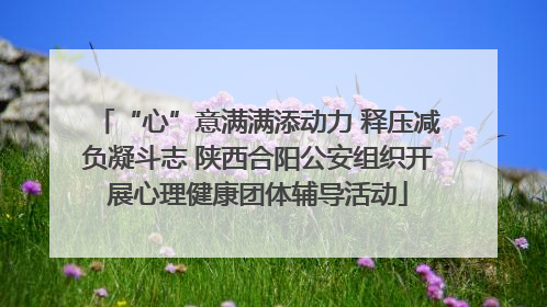“心”意满满添动力 释压减负凝斗志 陕西合阳公安组织开展心理健康团体辅导活动