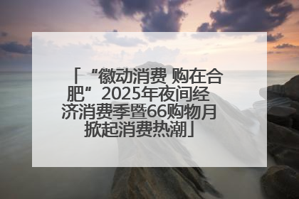 “徽动消费 购在合肥”2025年夜间经济消费季暨66购物月掀起消费热潮