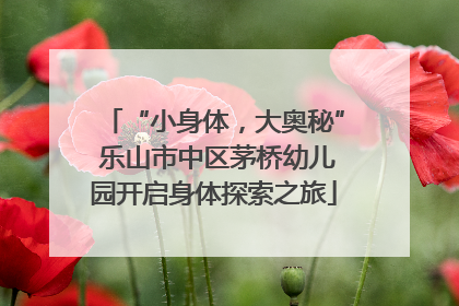 “小身体，大奥秘” 乐山市中区茅桥幼儿园开启身体探索之旅