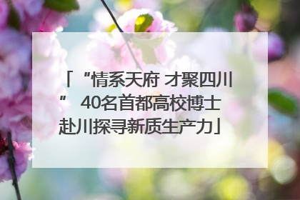 “情系天府 才聚四川” 40名首都高校博士赴川探寻新质生产力
