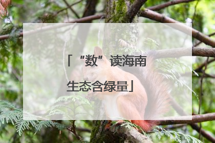 “数”读海南生态含绿量