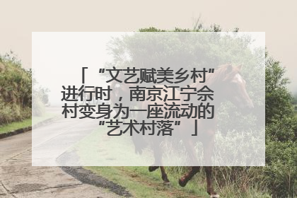 “文艺赋美乡村”进行时，南京江宁佘村变身为一座流动的“艺术村落”