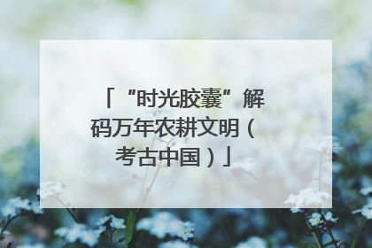 “时光胶囊”解码万年农耕文明（考古中国）
