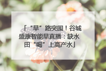 “旱”路突围！谷城盛康智能旱直播：缺水田“喝”上高产水