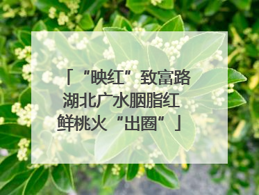 “映红”致富路 湖北广水胭脂红鲜桃火“出圈”