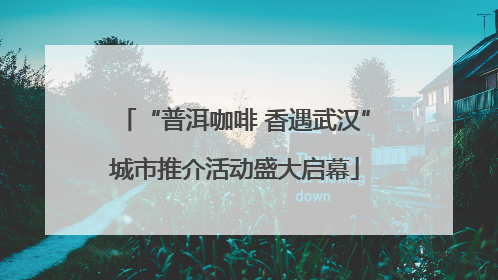 “普洱咖啡 香遇武汉”城市推介活动盛大启幕