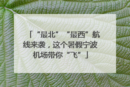 “最北”“最西”航线来袭，这个暑假宁波机场带你“飞”