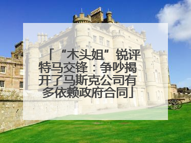 “木头姐”锐评特马交锋：争吵揭开了马斯克公司有多依赖政府合同