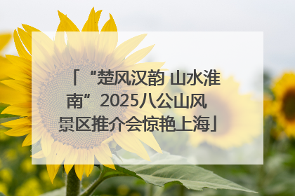 “楚风汉韵 山水淮南”2025八公山风景区推介会惊艳上海