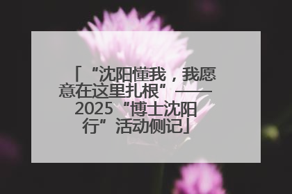 “沈阳懂我，我愿意在这里扎根”——2025“博士沈阳行”活动侧记