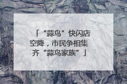 “蒜鸟”快闪店空降，市民争相集齐“蒜鸟家族”
