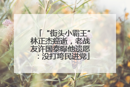 “街头小霸王”林正杰癌逝，老战友许国泰曝他遗愿：没打垮民进党