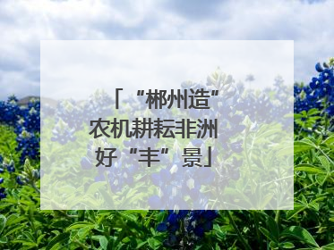“郴州造”农机耕耘非洲好“丰”景