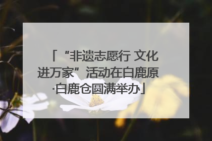 “非遗志愿行 文化进万家”活动在白鹿原·白鹿仓圆满举办