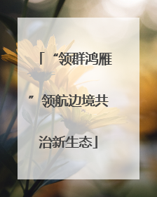 “领群鸿雁”领航边境共治新生态