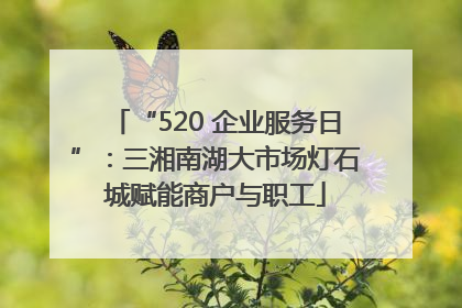 “520 企业服务日”：三湘南湖大市场灯石城赋能商户与职工