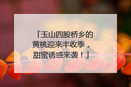 玉山四股桥乡的黄桃迎来丰收季，甜蜜诱惑来袭！