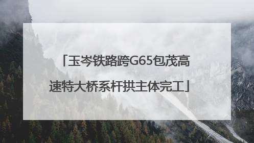 玉岑铁路跨G65包茂高速特大桥系杆拱主体完工