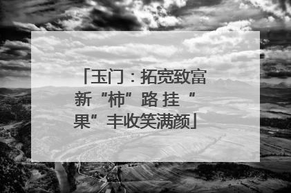 玉门：拓宽致富新“柿”路 挂“果”丰收笑满颜