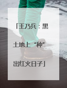 王乃兵：黑土地上“种”出红火日子