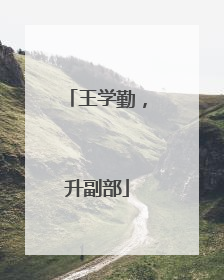 王学勤，升副部